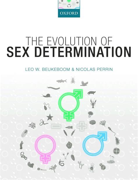 The Evolution Of Sex Determination Nhbs Academic And Professional Books