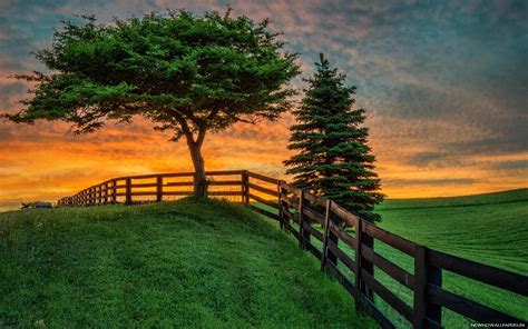 🔥 Download Summer Field Sunset Fence Nature Hd Wallpaper New By