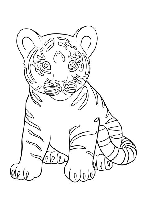 Bebê Tigre Sentado para colorir imprimir e desenhar Colorir Me