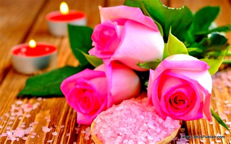 Romantic Love Flower Images Hd Red Rose Lovemy143roseblogspot