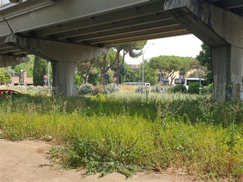 L'incidente di corso francia a roma. Corso Francia, vi mostriamo le condizioni sotto al ...