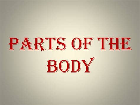 Lets Talk About Body Parts Teaching Resources