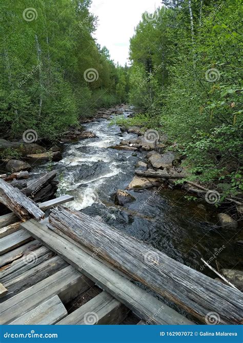Fast Transparent Taiga River Taiga Rivers With A Rocky Bottom