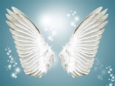 Angel White Wing Background Angel Wings Pictures Angel Wings Background Angel Pictures
