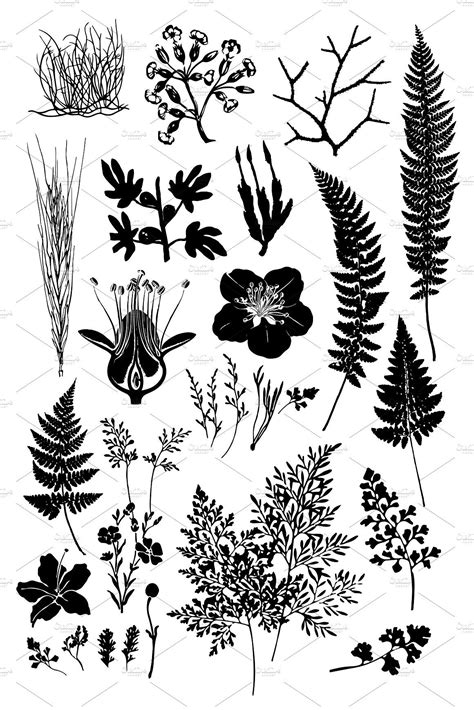 60 Botanical Vectors And Brush Pack Leaf Drawing Vector Brush