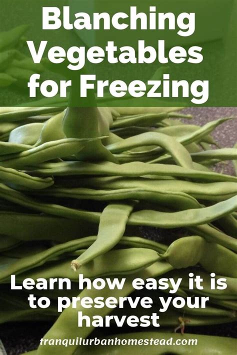 Easy Step By Step Guide To Blanching Vegetables For Freezing