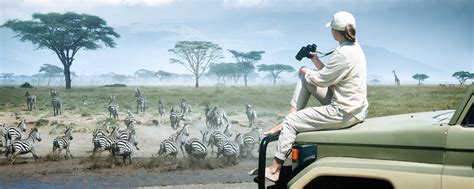 East Vs Southern Africa Which Is Best For Safari Go2africa