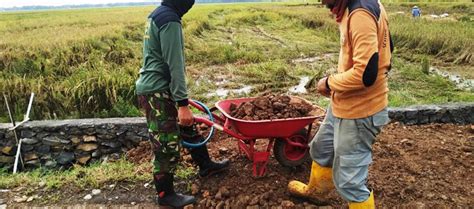 Daftar harga bahan bangunan terbaru. Gerobak untuk Mengangkat Material Bangunan | Daftar Harga ...