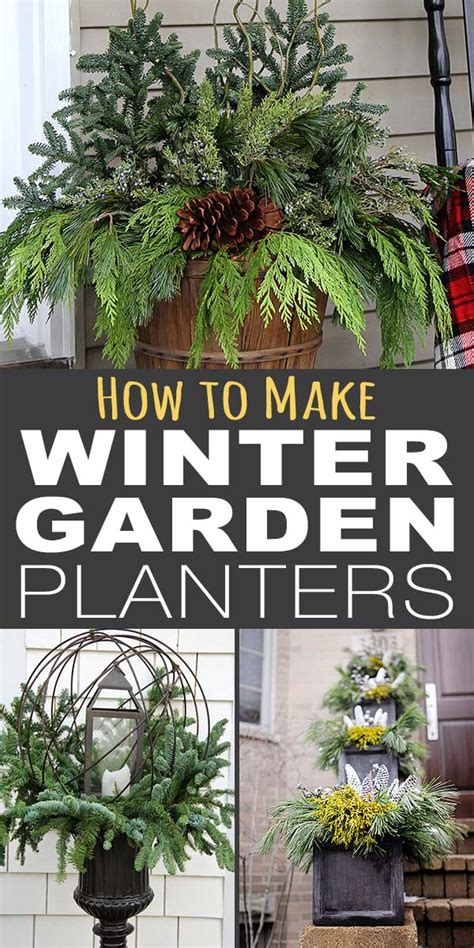 How To Make Winter Garden Planters The Garden Glove