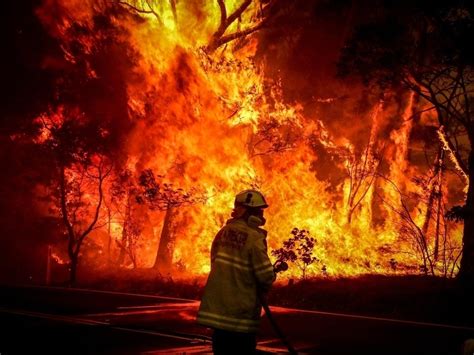 Find sports bar & restaurant in round rock, tx using the local store shopping guide. BestSelf Co. Pledges Australian Wildfire Relief Support ...