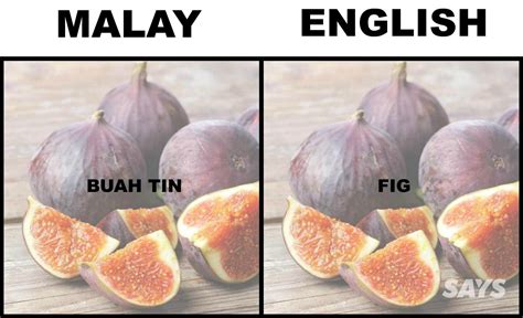 Ketua menteri pulau pinang lim guan eng cuba memulangkan paku buah keras kepada anggota parlimen umno datuk shabudin yahaya yang menyerangnya dalam isu. Did You Know What Ciku, Petai, And These 16 Other Foods ...