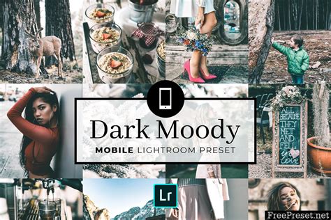 This preset was taken from our moody tones collection, which costs $29.99 for. Mobile Lightroom Preset Dark Moody 3320008