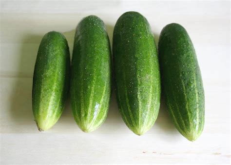 Straight 8 Cucumber Treated Seeds Seedway