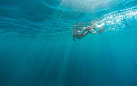 Download Underwater Photography Swimming Person Wallpaper