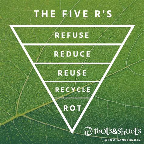 Use The Five Rs To Do A Waste Audit Jane Goodalls Good For All News