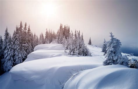 Wallpaper Sunlight Trees Landscape Snow Winter Ice Freezing