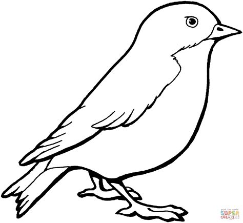 Free printable bird coloring pages for preschoolers. Canary Coloring Page at GetColorings.com | Free printable ...