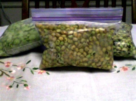 Follow these steps to prepare the zucchini and/or summer squash for. Freezing Fresh Vegetables WITHOUT BLANCHING... | Recipe ...