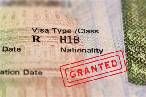 H-1B Strategy: Analyzing Education Requirements