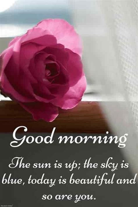 Good morning images with beautiful flowers wish wallpaper photo pics hd download. 67 Happy Morning Quotes & Sayings with Beautiful Images ...