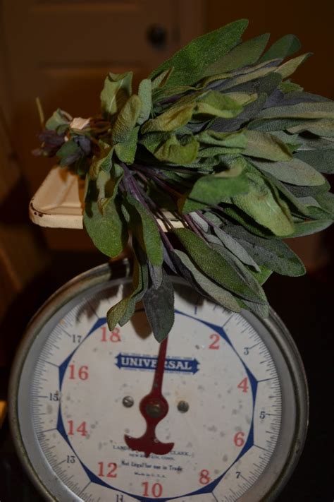 Get some sage and start. Southern Accents: Rosemary's Sage Natural Hair Colorant