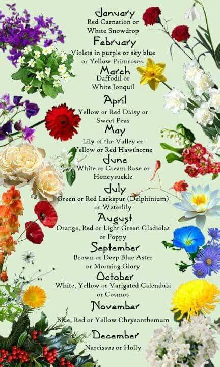 Calendar Birth Flowers Flower Meanings Birth Month Flowers