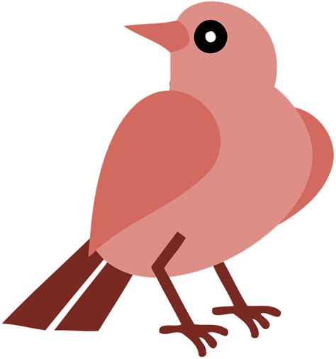 Red Bird Clipart Free Download Transparent Png Creazilla