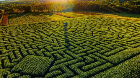 Mazezilla Corn Maze At Klingels Farm In Pennsylvania Poconos Corn