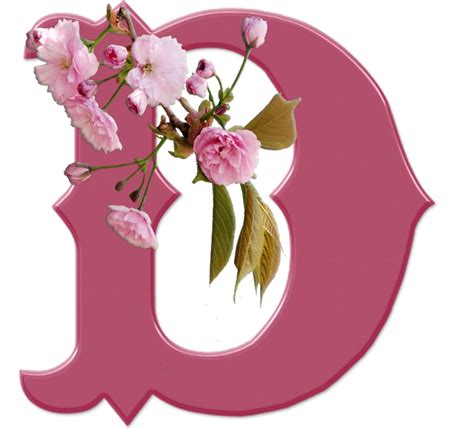Alfabeto Decorativo Sakura Rosa