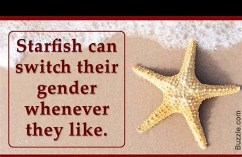 Pin By Sucharitha On Interesting Facts With Images Starfish Facts
