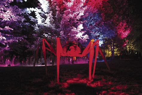Night Lights At Griffis Sculpture Park In Fifth Year News