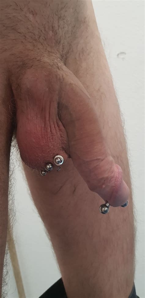 My Pierced Cock And Balls