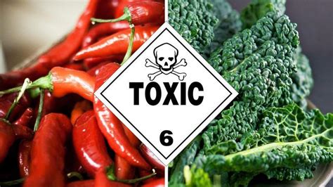 These Two Vegetables Are Very Toxic According To New Research Core Spirit