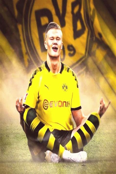 ✍️ new dortmund signing haaland. OFFICIAL Erling Haaland has joined Borussia Dortmund in ...