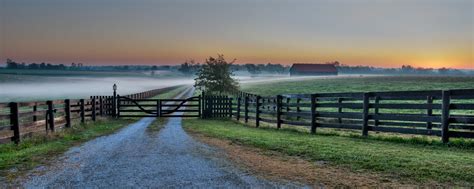 Early Morning Kentucky Horse Farm Explore 28 Judy