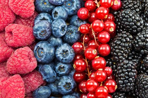 Different Fresh Berries Stock Image Image Of Life Close 28615497