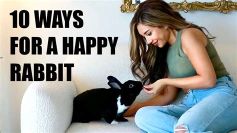 10 Ways To Make Your Rabbit Happy Youtube