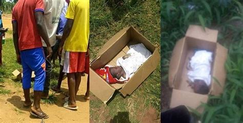Dead Newborn Baby Found Dumped Beside An Anglican Church In Anambra