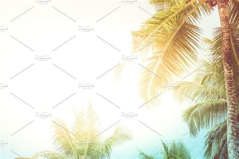 Tropical Powerpoint Background