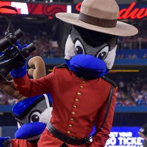 Is Ace The Best Dressed Mascot In The League Hint The Answer Is Yes
