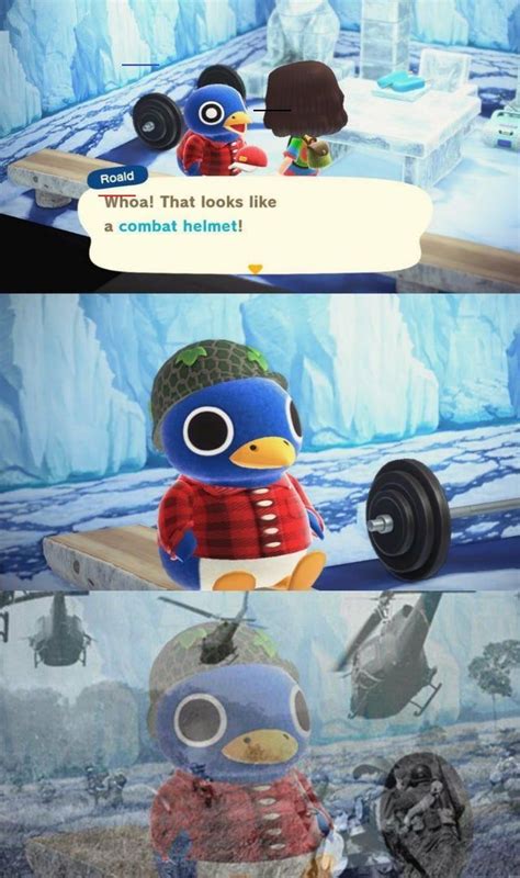 Animal crossing fan art animal crossing memes animal crossing villagers geeks izu funny comics cute art fandoms funny pictures. Roald has seen some stuff - #hilariousanimals in 2020 ...