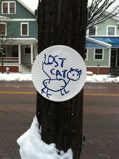 Yes Ive Definitely Seen This Cat Lost Cat Missing Cat Poster Cat