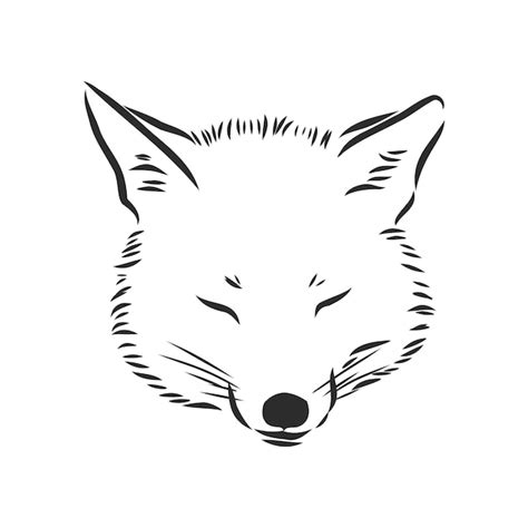 Premium Vector Fox Portrait Hand Drawn Vector Illustration Portrait