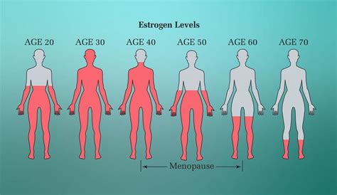 A new regulatory function in the nervous system. BLOG: Estrogen and its beneficial effects