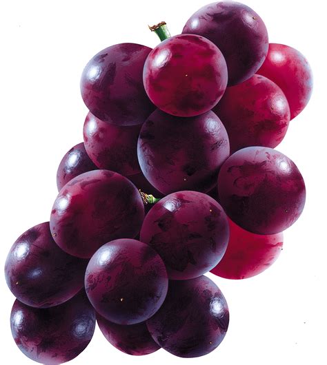 Download Red Grape Png Image Hq Png Image Freepngimg