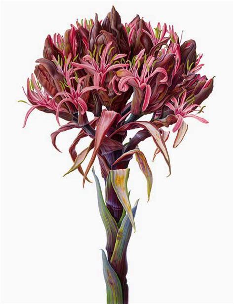 Susannah Blaxill Botanical Painting Plant Painting Botanical Flowers