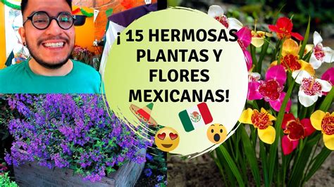 15 Flores y plantas originarias de México Plantas mexicanas y sus