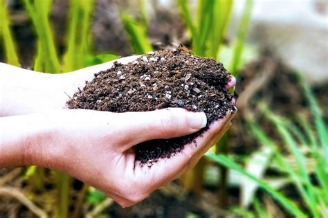 What Is Organic Soil Kellogg Garden Products