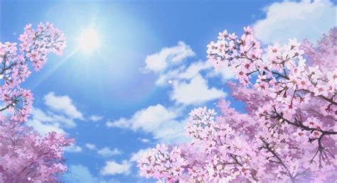 Background Aesthetic Anime Background Aesthetic Cherry Blossom Tree