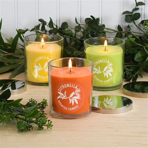Scented Jar Candles Citronella Collection 10oz Set Of 3 Lumabase